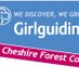 GG Cheshire Forest (@girlguidingcf) Twitter profile photo