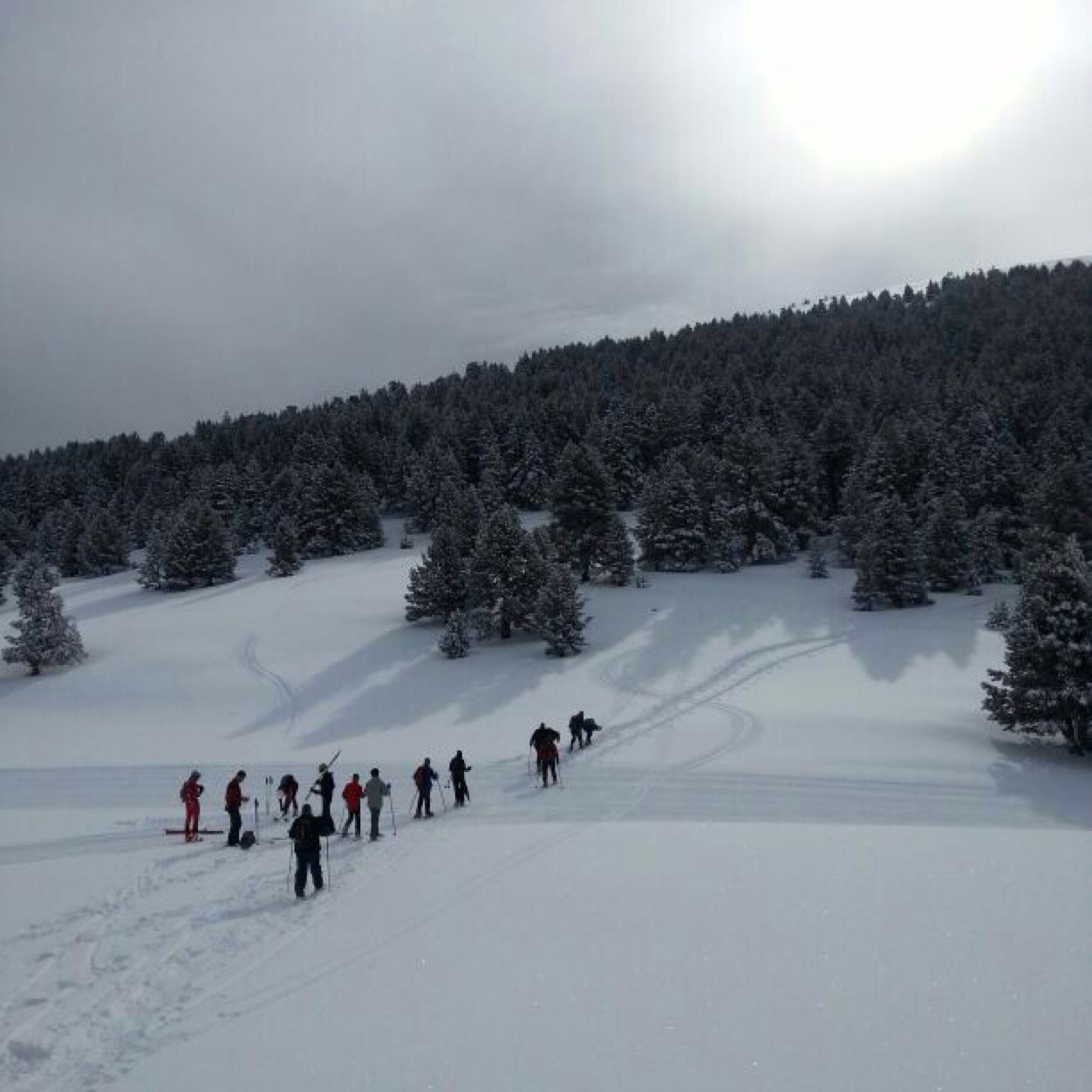 OlesaAngel's profile picture. 