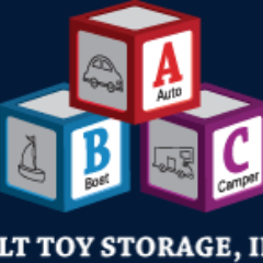 Adult Toy Storage