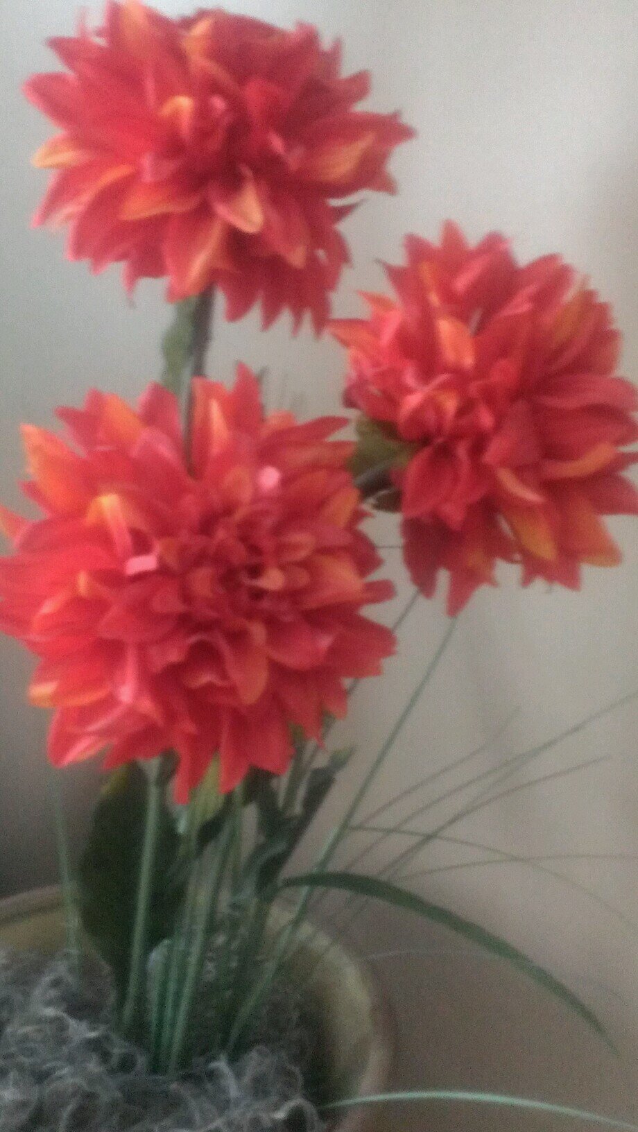 cindy50937987's profile picture. 