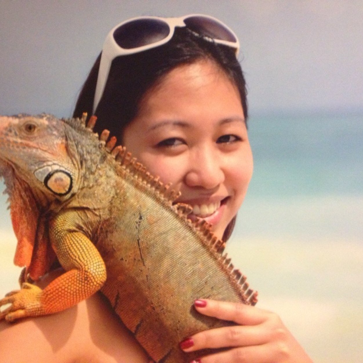 princessweetah's profile picture. Adventures of a Non-Royal Princess