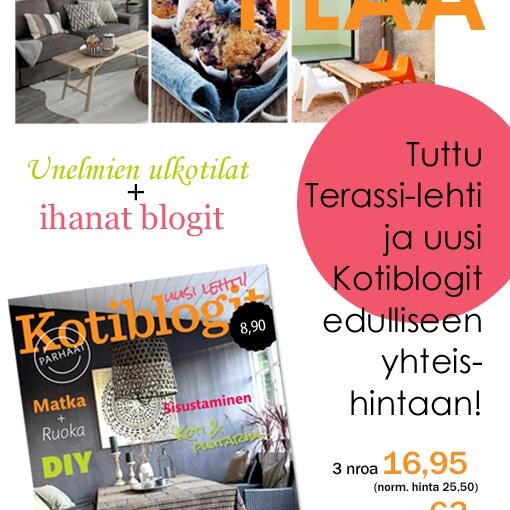 Terassi-lehti on ollut perustamisvuodestaan 2010 asti lehtipisteiden myydyin piha ja puutarhalehti Suomessa.