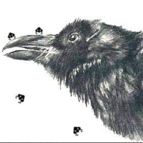 LookiLP's profile picture. 