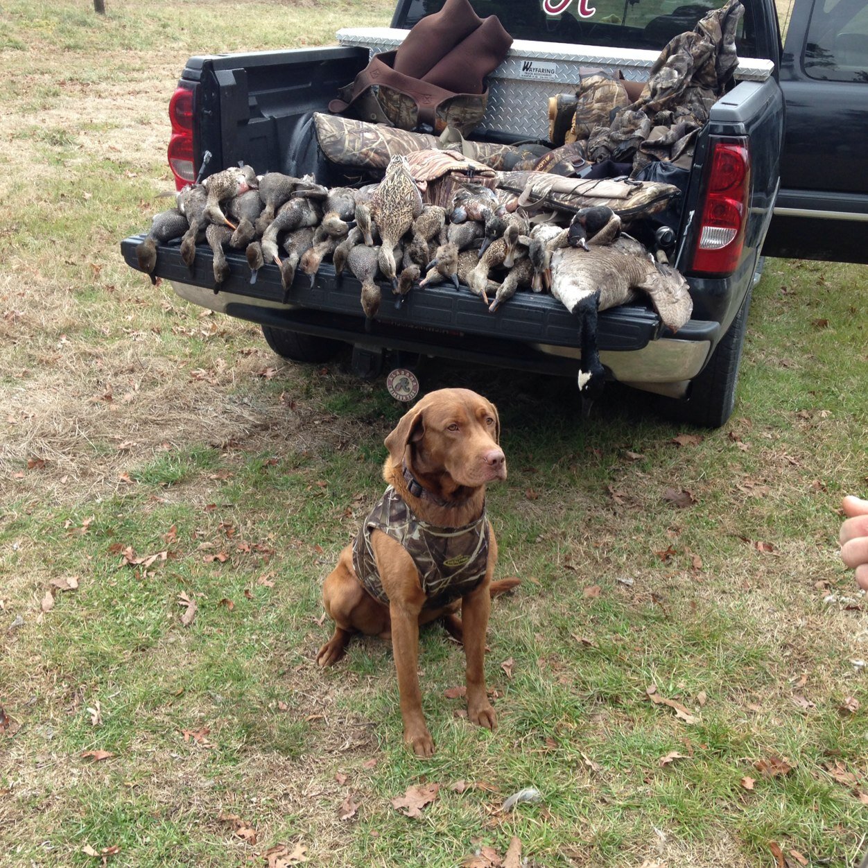 TeamCuttem's profile picture. Group of guys that love hunting and all Gods creation! Sambo Tarvin Tyler and Avery Ross Riley Peppers.