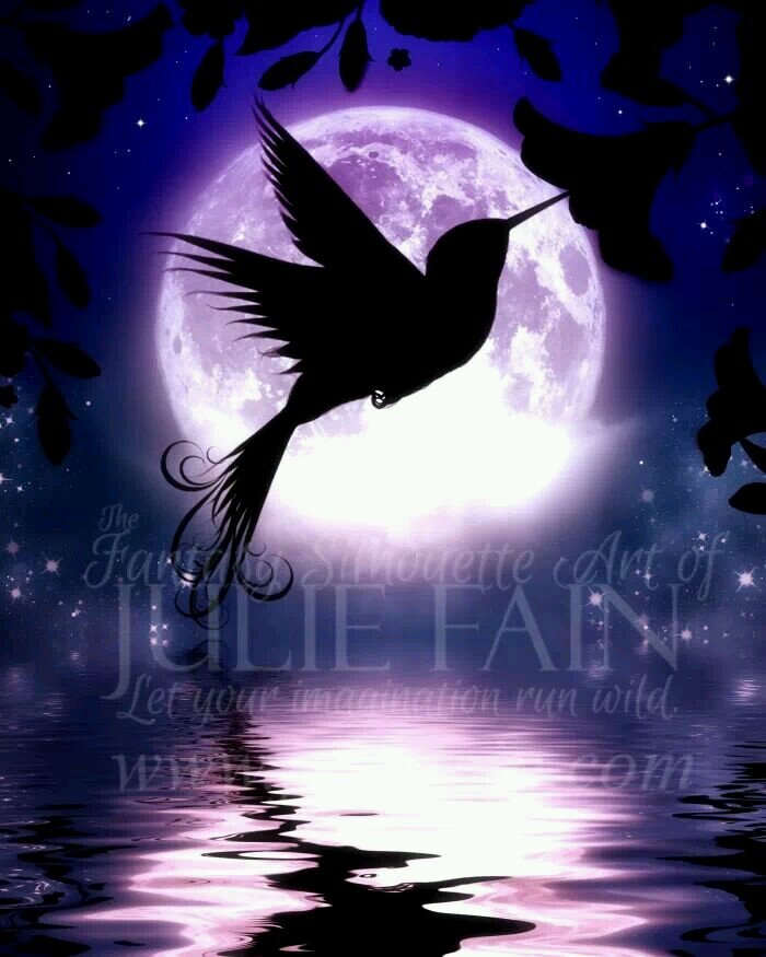 Hi. Nature lover, avid reader & birder. Love wildlife pics esp of wild birds. Pets: cats & snakes :) Into astronomy & paranormal x