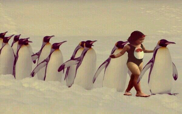 pdpd666's profile picture. キチガイ　カロウジテ女シテマス　５歳から酒やけ声してる　明るさとノリが取り柄のBBA