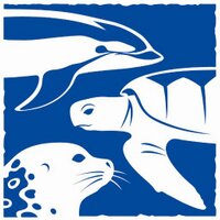 National Marine Life Center (@natmarinelfectr) 's Twitter Profile