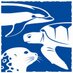 National Marine Life Center (@natmarinelfectr) Twitter profile photo National Marine Life Center (@natmarinelfectr) Twitter profile photo