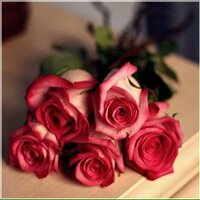 نُوِفَتاه✨ (@nooof_9000) Twitter profile photo