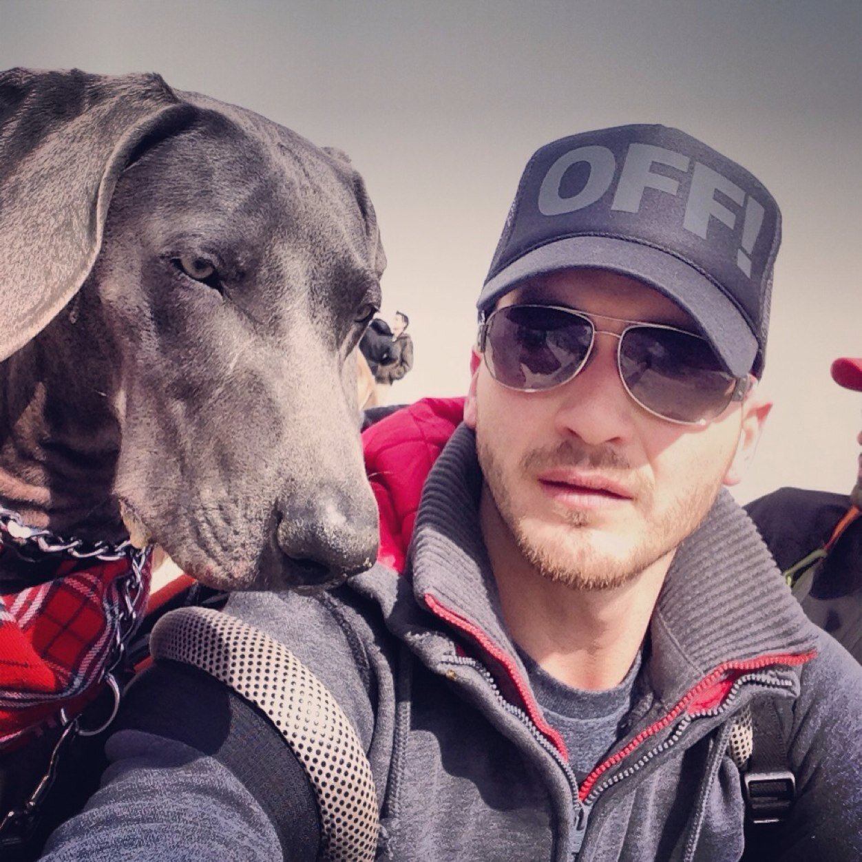 felipro00's profile picture. Arquitecto, sagitario, amo viajar, me encanta la fotografia