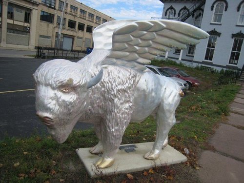 wingquest's profile picture. 