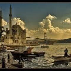 Daily trips , airport transfers , anatolia trips ext.  For all information about turkey info@tripsofistanbul.com