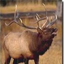 W. Michael Stream - @WMichaelStream - Twitter