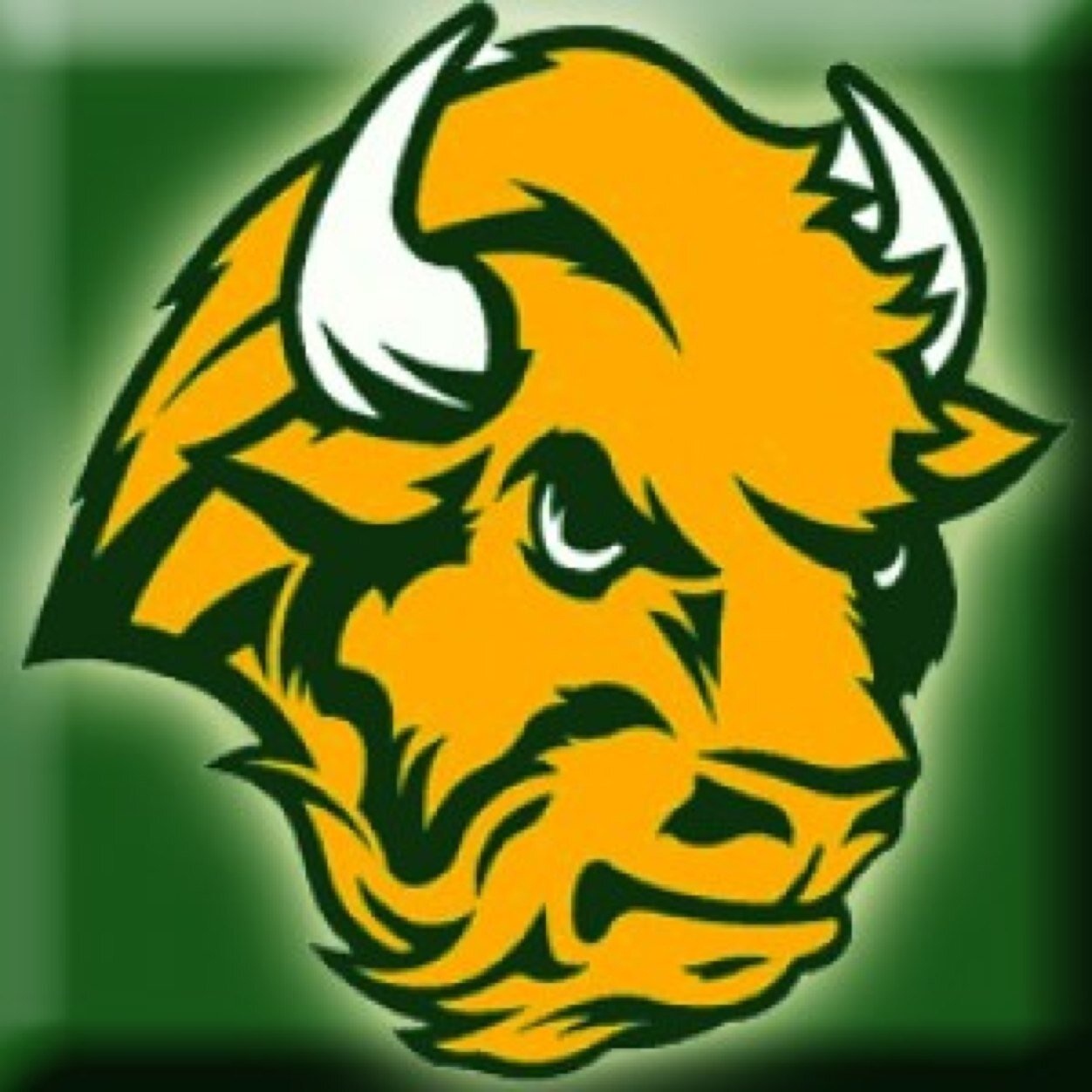 Farmer, father, husband in no particular order. Go Bison!🤘