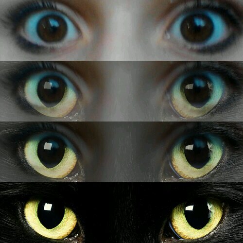 OneMaeva's profile picture. Je suis directioner et j'en suis fière. @Onedirection.♥