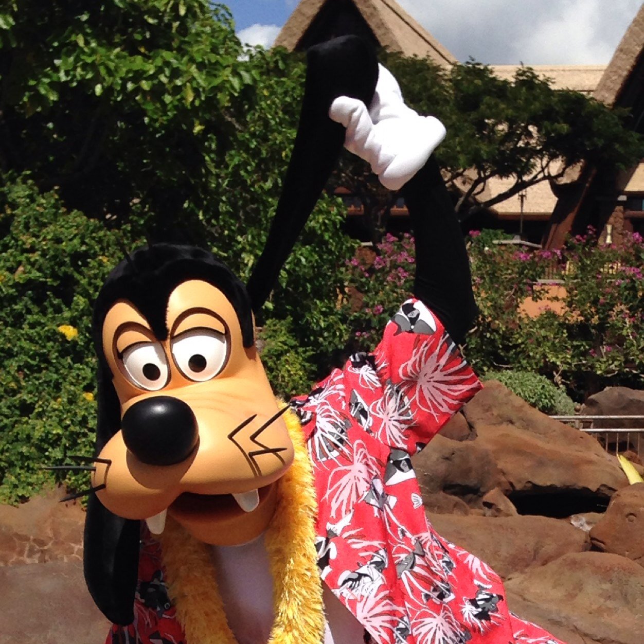 ゆみっぺ バツ1息子1 トリマー Cat Dog Disney Goofy Disneyland Disneysea 2パーク年パス 劇団四季 テキトーにRT します フォローも解除もブロックもご自由に！相互希望でしたら一言お願いします。2018年夏から家族に犬っぽい猫のちょびが加入！