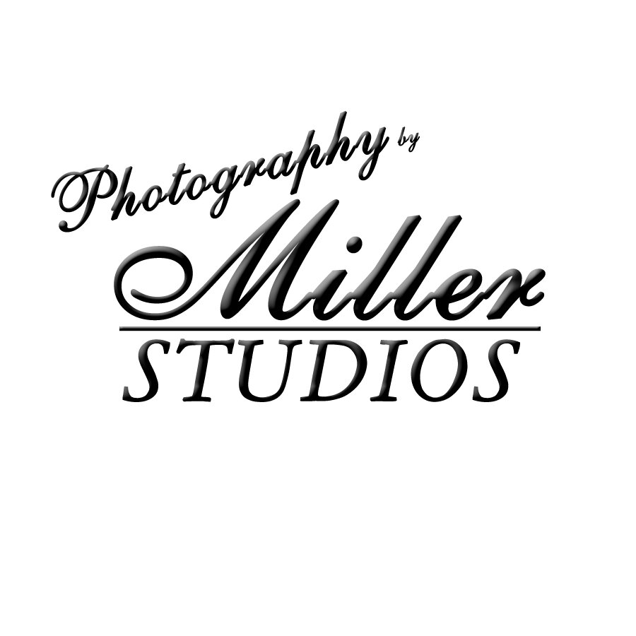 Full service photography studio specializing in weddings, high school seniors, families, children, and pets.  Owned and operated in mid-Michigan for 25+ years.