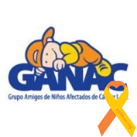 Grupo Amigos de Niños Afectados de Cáncer I.A.P. Blvd. Constitución #175 Pte. Col. Almada C.P. 80200 Culiacán, Sinaloa Tel. 713-9116