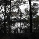 Suzanne Pascoe - @faithinu247 - Twitter