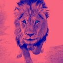 Rodrigo Arroyo  - @RodrigoArro1997 - Twitter