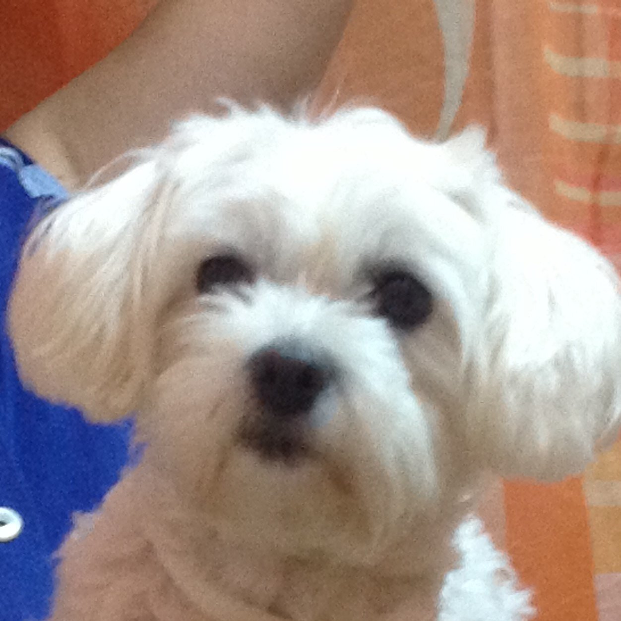 ReneShock2's profile picture. Author at Shock2, Interests in Games, Comics and Movies