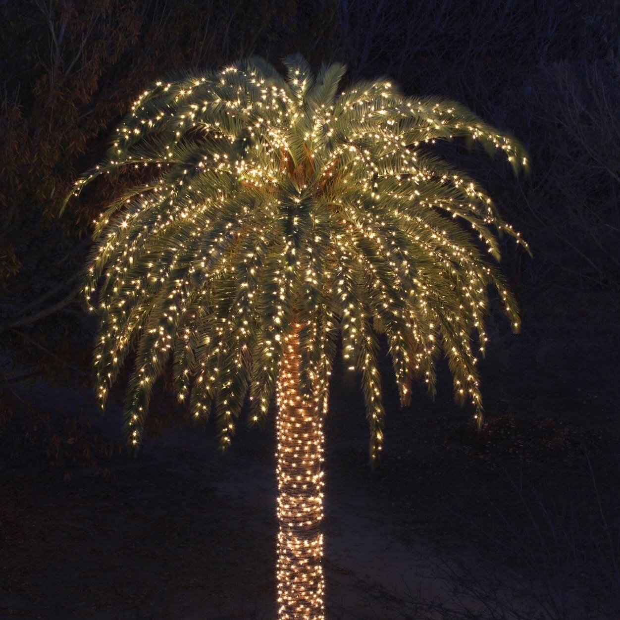 LerettaH's profile picture. 