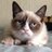 alesha_azley's profile image