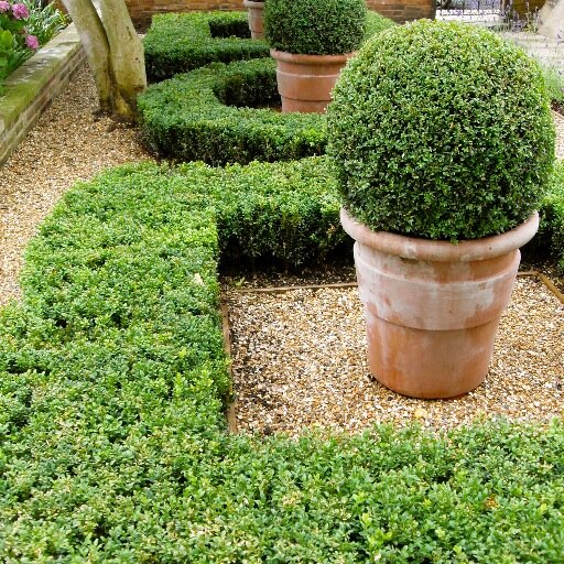 New Leaf Landscapes. Topiary to terraces, Paving to plants designed created and maintained. genuine passion for gardens and landscape
http://t.co/x0rLzmtVzm