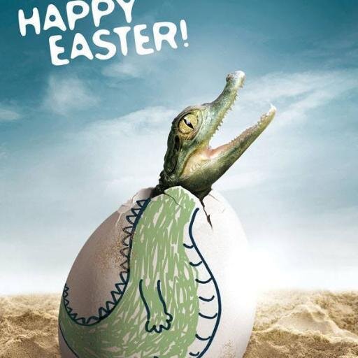 Creative_Funny's profile picture. 