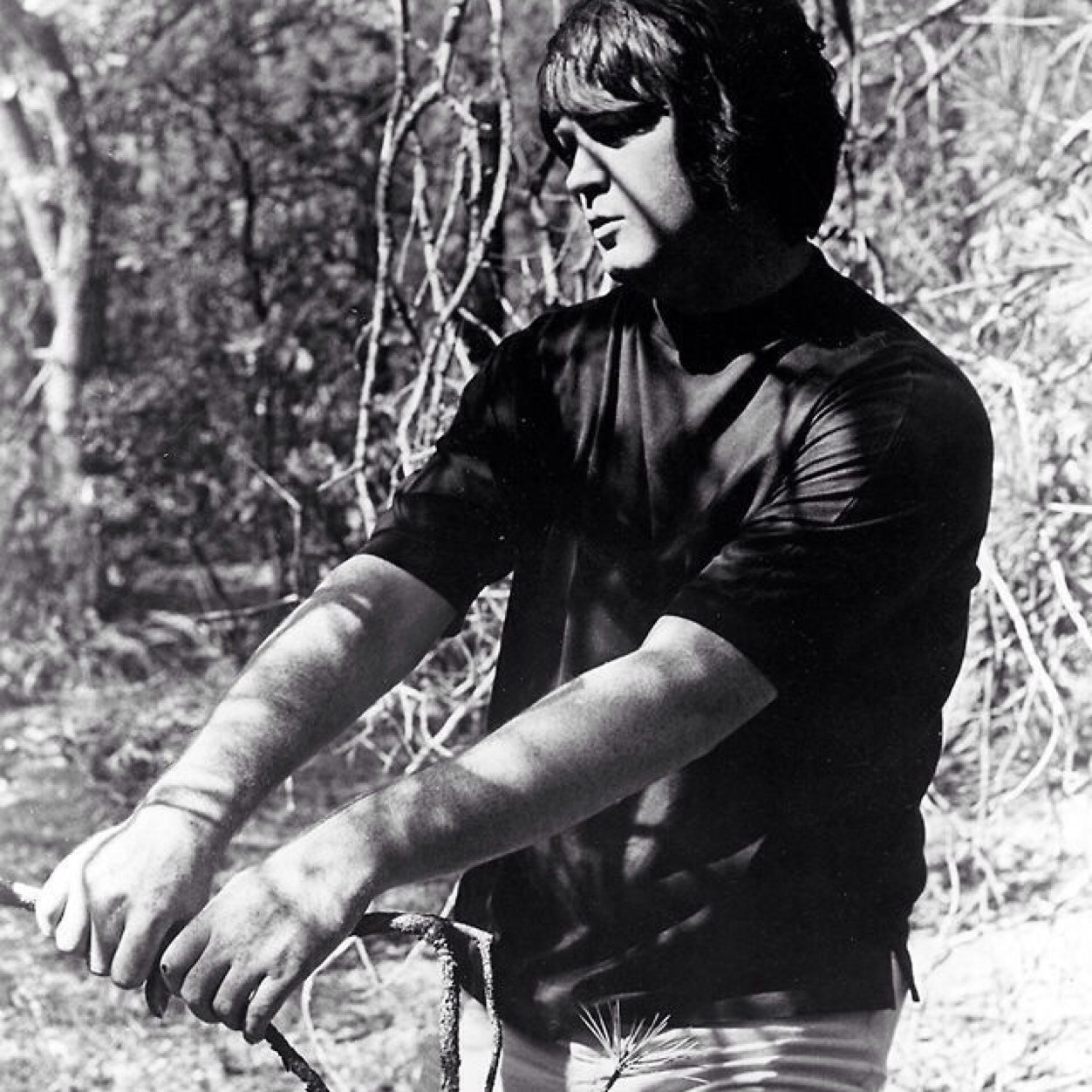 Singer-Songwriter/Bassist in The Beach Boys. [Parody/RP.]