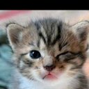 Samuel Jaimes - @Samuel_Eltigre1 - Twitter