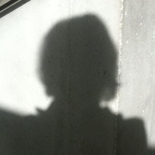 Karin Bohm Karinboehm Twitter