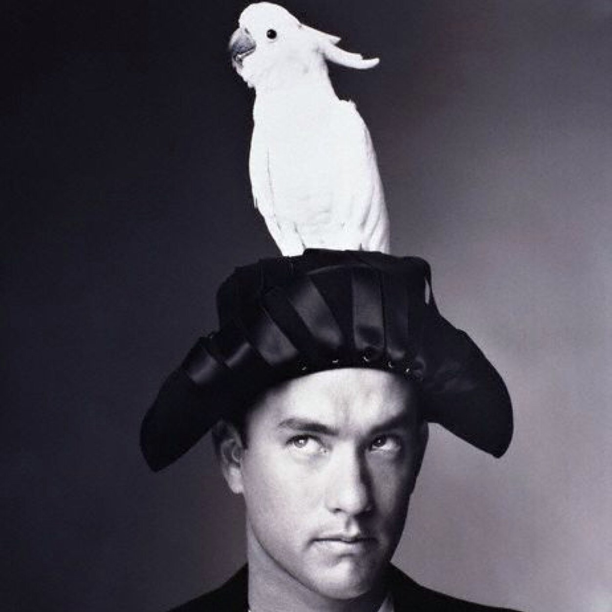 TypewriterTom's profile picture. I'm not using this twitter ok bye