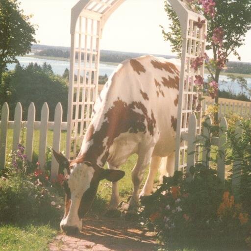 travel, fun with grandkids, gardening, farm life, reading almost anything, politics, now the next half of a great life...TBD