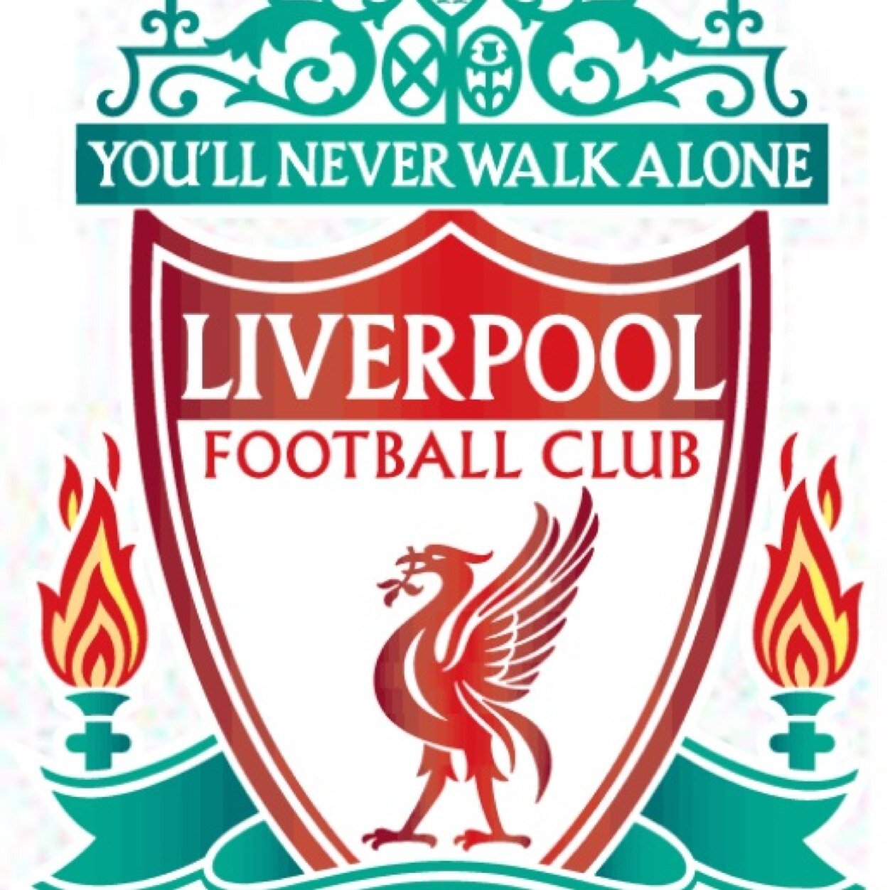 Lifelong Liverpool fan.Football Fan. YNWA. Cork. Ireland