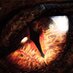 Smaug's Eye (@realsmaugeye) Twitter profile photo