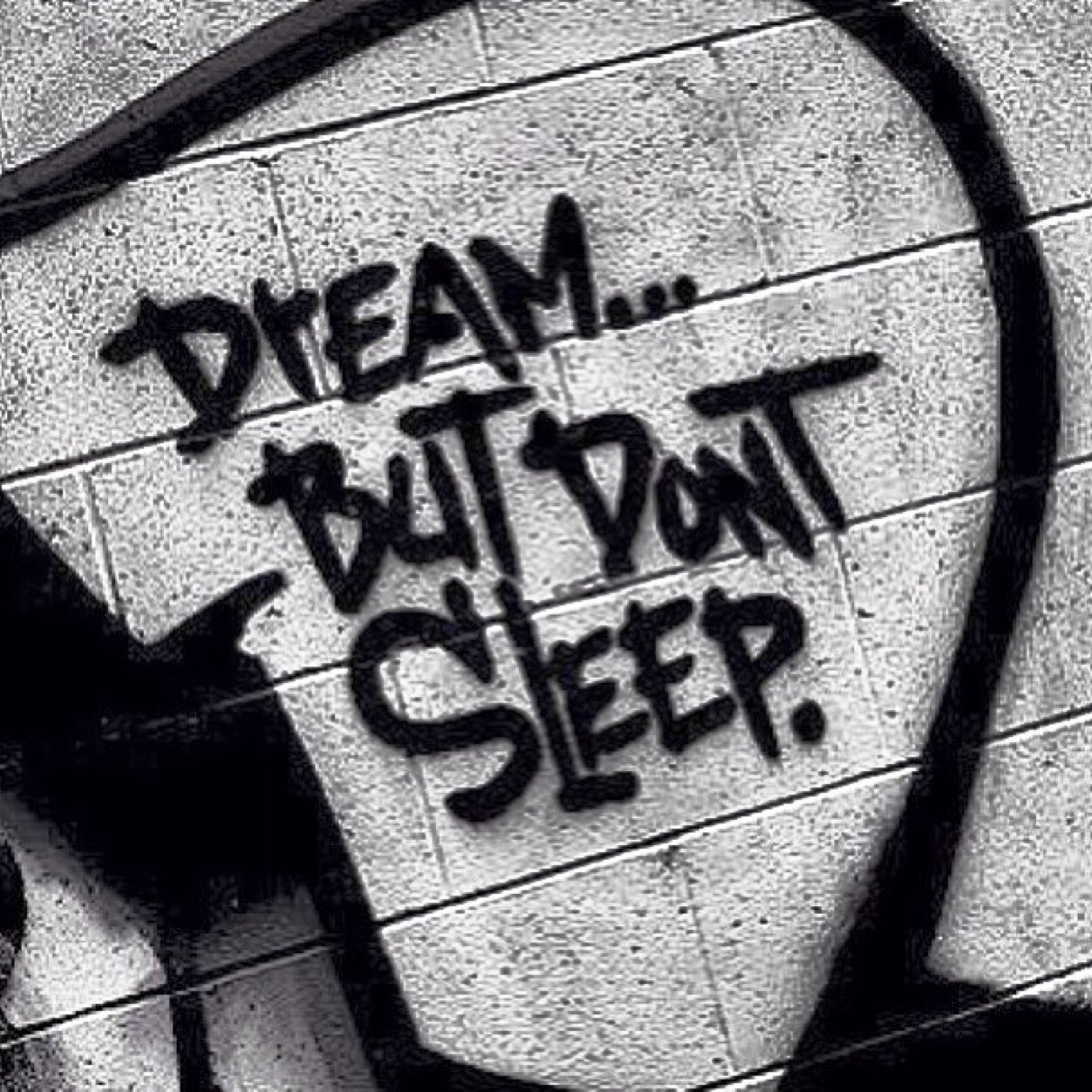 KashNY's profile picture. 