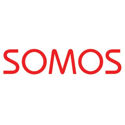 Since 1991, the project management specialists at SOMOS have been turning complexity into clarity, chaos into plans, and action into results.