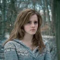 Viciados em Harry Potter