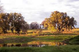 FloridaNatural8's profile picture. 