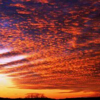 Carolyn J Sautter (@cjsautter) 's Twitter Profile