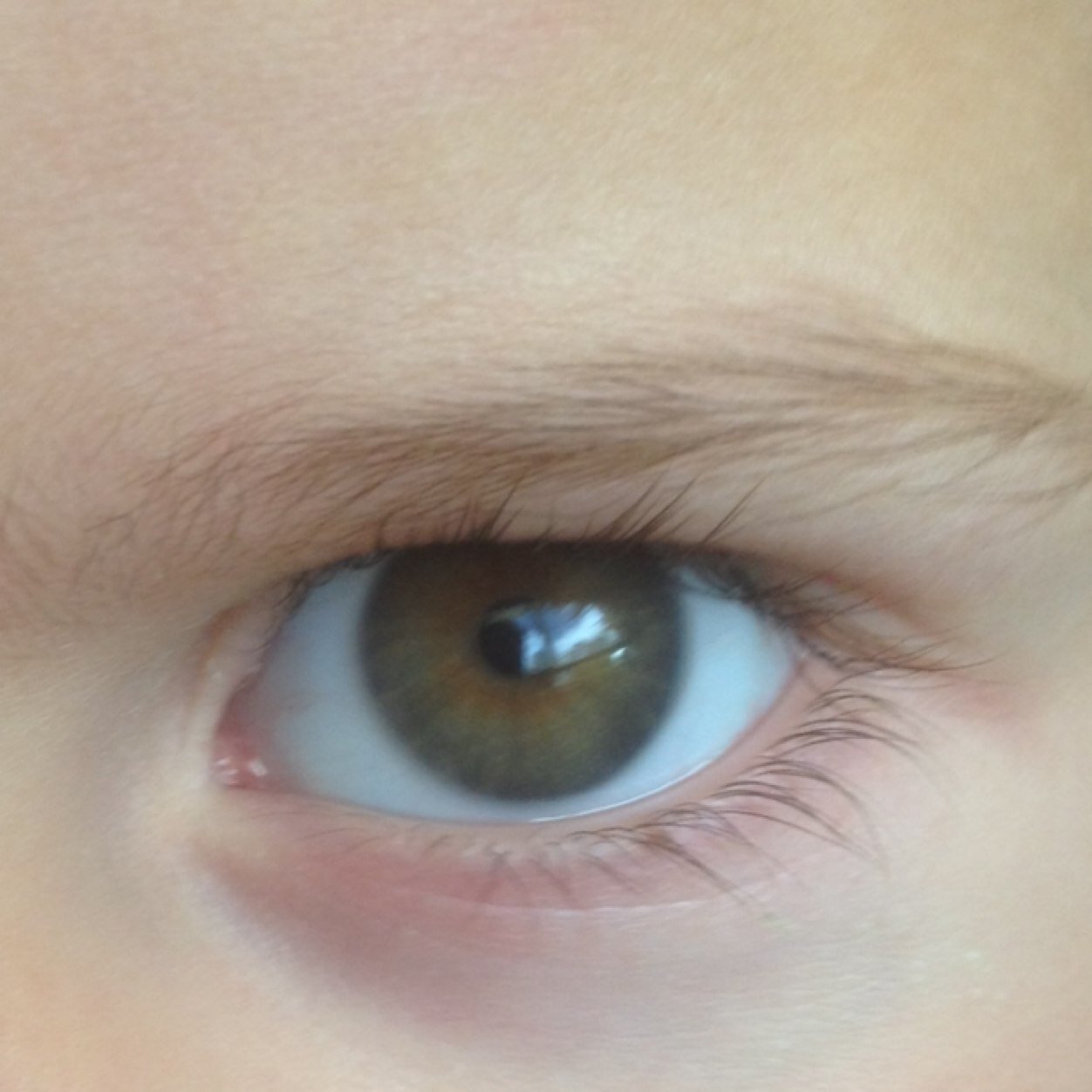 daniabecasis's profile picture. 