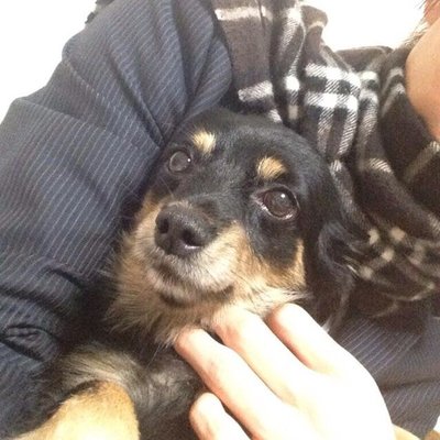 かずき