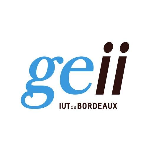 Formation GEII de l'IUT de Bordeaux.