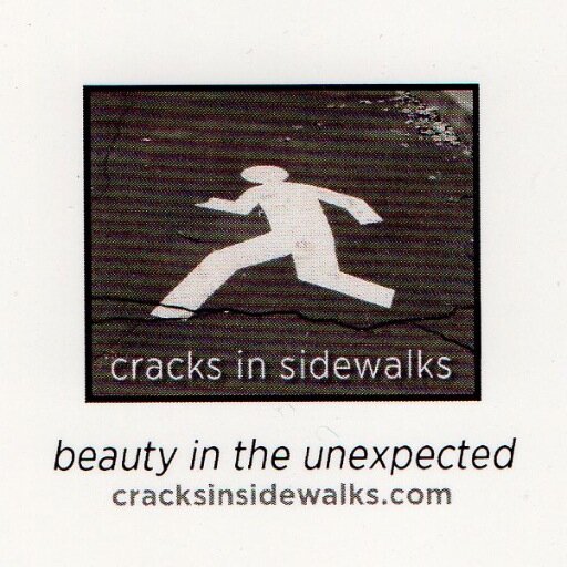 Beauty in the unexpected, arresting images literally of cracks in sidewalks.