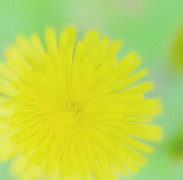 Nesma