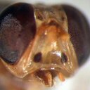 John Bayer - @J_Bayer_BioMan - Twitter