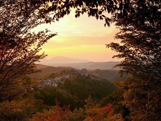 Hills_Ollie's profile picture. Hey, im tall have clown feet angd i am a extremely lucky guy to have the girl that i have shes the tween.