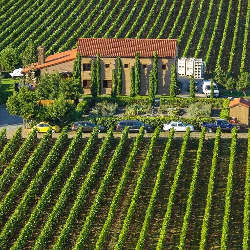 Boutique, single vineyard estate producer of terroir-driven wines from the Chehalem Mountains in an extraordinary whole farm setting