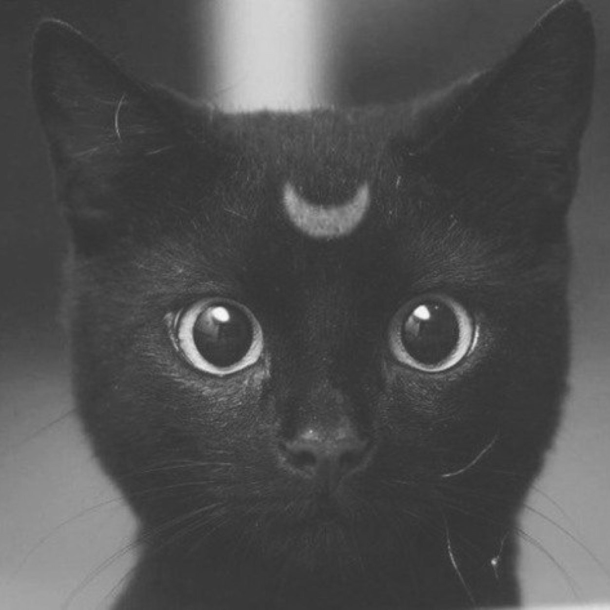 tentoten_'s profile picture. OLと風俗嬢してます